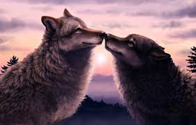 We've got 60+ great wallpaper images. Wallpaper Forest Sunset Two Wolves Images For Desktop Section Zhivopis Download