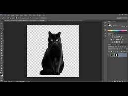 طريقة تفريغ الصور إزالة الخلفية بواسطة الفوتوشوب youtube photoshop adobe photoshop animals
