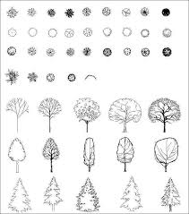 Trees, shrubs, flowers, flower bed, palm illustration. Plants Flowers Tree Autocad Blocks Collections All Kinds Of Plants Cad Blocks Free Download Architectural Cad Drawings