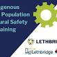 Indigenous Priority Population & Cultural Safety event image