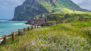 Pasti saja para desainer foto pemandangan memiliki tantangan tersendiri dalam menciptakan rancangan atau desain bentuk foto pemandangan. 6 Tempat Wisata Di Korea Selatan Yang Wajib Disambangi Saat Berlibur Hot Liputan6 Com