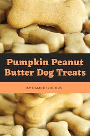 Homemade Dog Food Pumpkin Peanut Butter Healthy Dog Treats Homemade Dog Treats Homemade Recipes Dog Treats Recipes Pumpkin