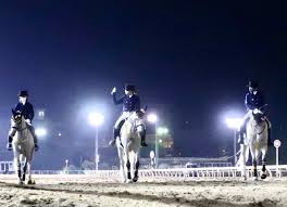 千葉 シティ 乗馬 クラブ