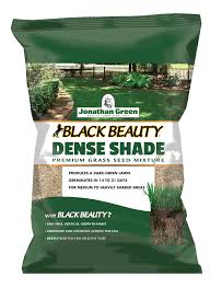 While oat grass is the true cat grass, other grasses like any grass marketed as a cat grass is appealing to kitty taste buds. Black Beauty Dense Shade Grass Seed Jonathan Green