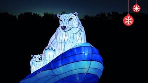 Orpi vous donne toutes les informations importantes du quartier jardin des plantes. Un Festival De Lumieres Au Jardin Des Plantes De Paris Connaissance Des Arts