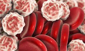 At oncopeptides, we are advancing therapies oncopeptides inc. Swedish Oncology Biotech Makes A Large Ipo For Its Peptides Labiotech Eu