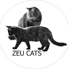 ZEU CATS - comportementaliste félin & pet-sitter certifiée