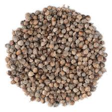 Image result for Vitex strickeri