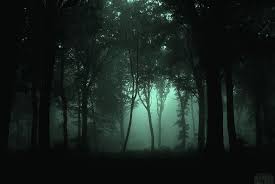 Doga Resimleri Em 2020 Fotos De Florestas Florestas Sombrias Imagem De Floresta