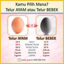 Lantas berapa suhu penetasan telut ayam, burung, itik dan bebek idealnya? Kamu Pilih Mana Telur Gracia Personal Coach Herbalife Facebook