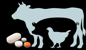 Medicamentos veterinarios digestivos y metabólicos - Fabricante | AdvaCare  Pharma