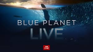 1blueplanet.com travel info, map, calling codes, time zones, weather forecast, airports. Blue Planet Live Naturfotograf
