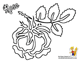 You can choose roses, bouquets, geometric roses, and. Free Printable Pictures Of Roses Coloring Home
