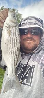 Are there any bass bites in Raritan Bay?