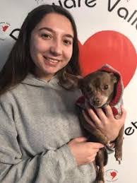 Diana Coy's Instagram, Twitter & Facebook