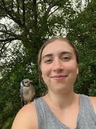 Nail clipping and bathing services for Great Danes