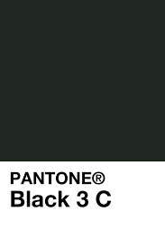 epingle sur main palette pantone 3553 c