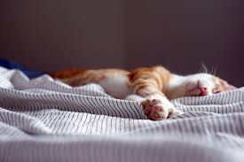 We did not find results for: The One Reason To Wake Up In The Morning By Claudio Giubrone Live Your Life On Purpose Medium