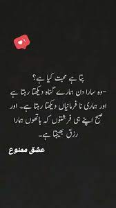 Ye Mohabbat Hai Islamic Love Quotes Reality Quotes Heartfelt Quotes Tum kya jano mohabbat kya hai. ye mohabbat hai islamic love quotes
