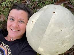 When you're outside and you see a giant puffball mushroom, you have to lay  down next to it for size comparison, right? Giant puffball mushrooms are  common this time of year. They
