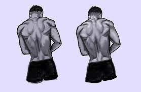 In this section, learn more about the muscles of the. How To Draw The Human Back A Step By Step Construction Guide Gvaat S Workshop