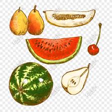 Find & download the most popular healthy food photos on freepik free for commercial use high quality images over 8 million stock photos. Fruit Watermelon Pear Cherries Gourd Healthy Food Hand Draw Png Image Picture Free Download 401439237 Lovepik Com