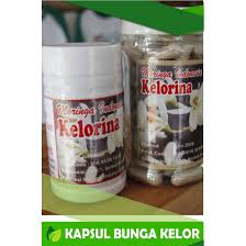 You can search for any new wela katha in our website and. Kapul Bunga Kelor Moringa Flower Shopee Indonesia