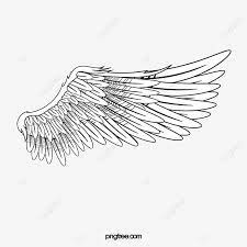 Wing Angel White Png Transparent Clipart Image And Psd File For Free Download Angel Wings Clip Art Cartoon Angel Wings Wings Png