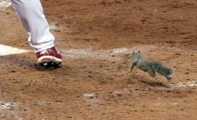 On march 24, 2001, during a spring training game between the arizona diamondbacks and the san francisco giants, randy johnson, now a hall of famer, stood on the mound facing giant's calvin murray. Randy Johnson Throwback Attack