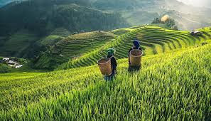 To the country's east lies the south china sea. Sapa In Vietnam 6 Reisetipps Routen Mehr Wedesigntrips