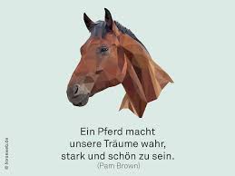 ein pferd macht unsere traume wahr stark und schon zu sein spruche zitate pferde pferde zitate