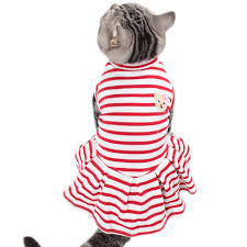 Check out our gucci cat selection for the very best in unique or custom, handmade pieces from our pet clothing shops. Purchase Red Cat Clothing Up To 61 Off