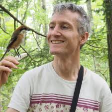 Is an up-to-date phylogenetic based grouping of birds available?