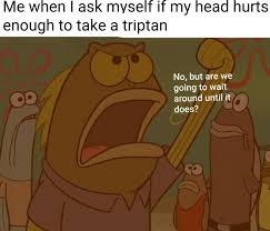 Cornell university press fosters a culture of broad and sustained inquiry through the publication of scholarship that is engaged, influential, and of lasting significance. This Migraine Subreddit Has The Best Memes On The Internet