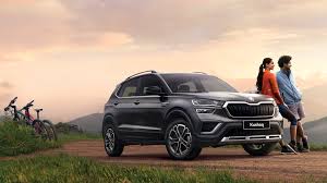 Image result for Carbon Steel Matte 2024 Slavia