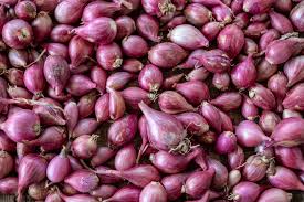 Here's what we mean when we say green onion, salad onion or eschalot. What Is A Shallot And What S A Good Substitute Myrecipes