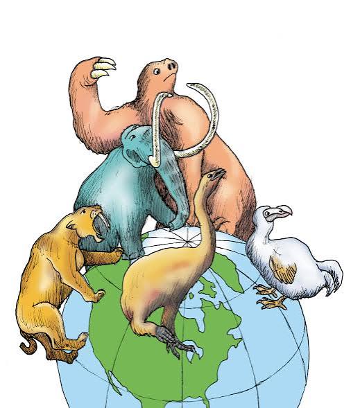 On extinction | New Zealand Geographic