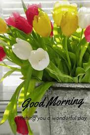 Best Good Morning Hd Images Wishes Pictures And Greetings Good Morning Flowers Good Morning Flowers Pictures Morning Quotes