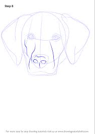 Customizable chocolate lab posters & prints from zazzle. Drawing Chocolate Lab Cartoon