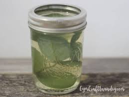 Just like everything else, cars can take on a musty, funky scent after a long period of use. Homemade Car Air Fresheners You Can Make In A Weekend Gym Craft Laundry