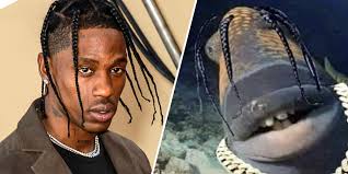Travis Scott Fish