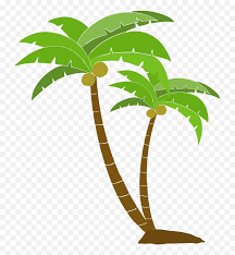 Coconut tree, coconut water, coconut milk, palm trees, nata de coco, dodol, cartoon, arecales png. Download Coconut Palm Tree Png Full Palm Tree Cartoon Png Free Transparent Png Images Pngaaa Com