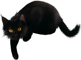 images?q=tbn:ANd9GcSqNbKh6ahapNvmfdhwqlh