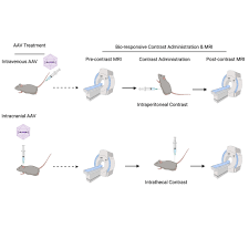 Image result for Black 1997 AAV