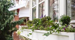 Maybe you would like to learn more about one of these? How To Plant Window Boxes