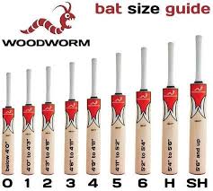 Every bat has differing characteristics which is why at gm we highly recommend having an open mind when looking at cricket bats. Woodworm Bat Size Guide Woodworm Direct Cricket Golf And More