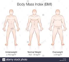 Body Mass Index Bmi Underweight Normal Weight And