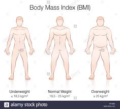 body mass index bmi underweight normal weight and