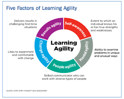 Acumen International Ltd Your Partners For Developing Your People Learning And Development Learning Talent Management