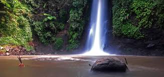 Tak heran bila segala layanan di dalamnya begitu memuaskan. Misteri Traveling Cirebon Tour Travel